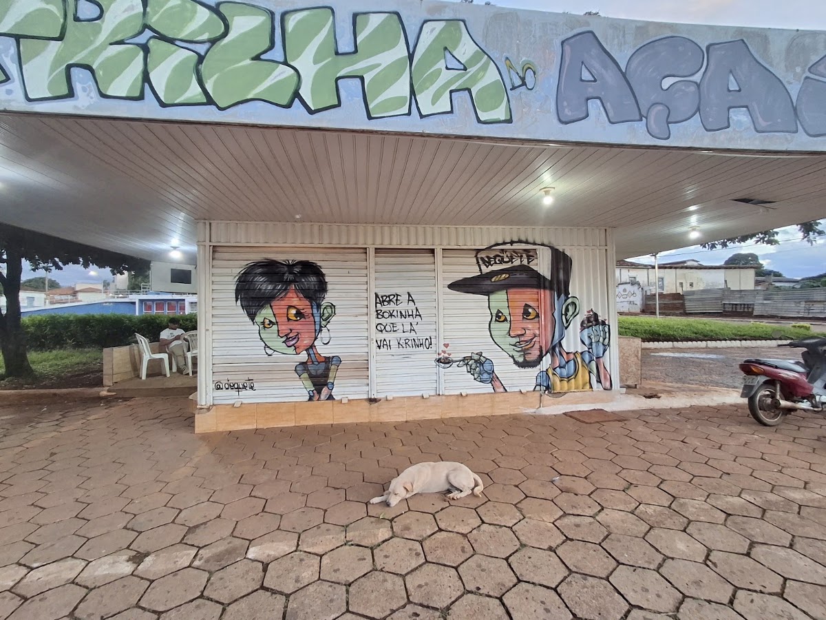 Trilha Açaiteria de Goias