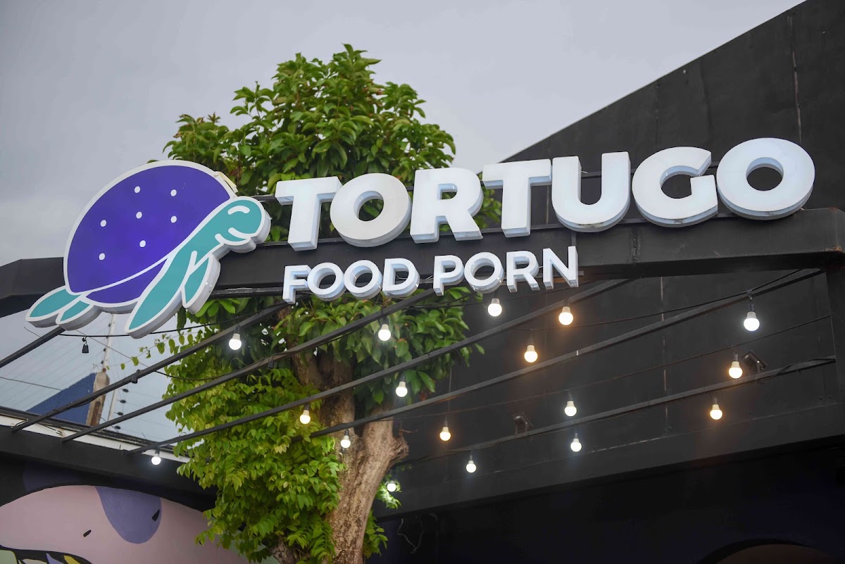 Tortugo