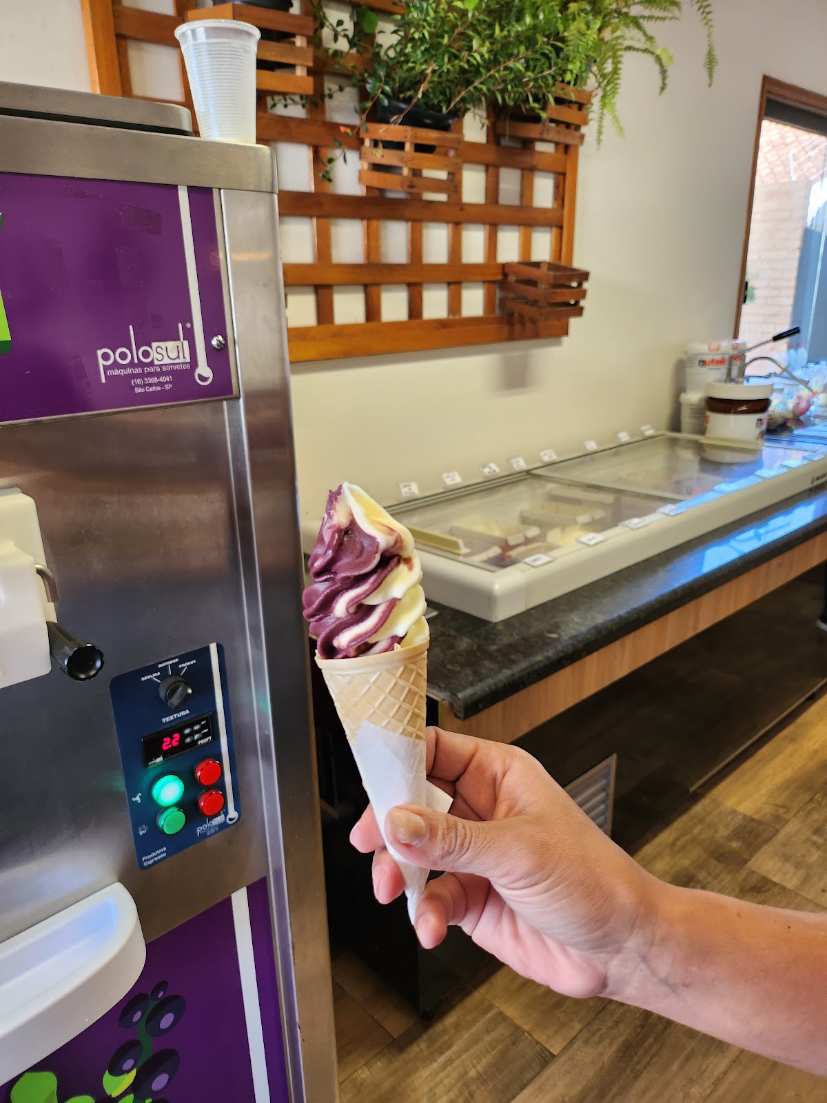Tribo do Açaí