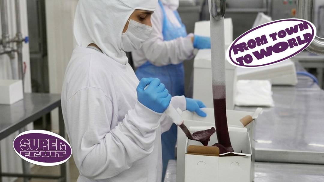 Açaí Town Fábrica & Distribuidora (Fabricação, Distribuição e Exportação)