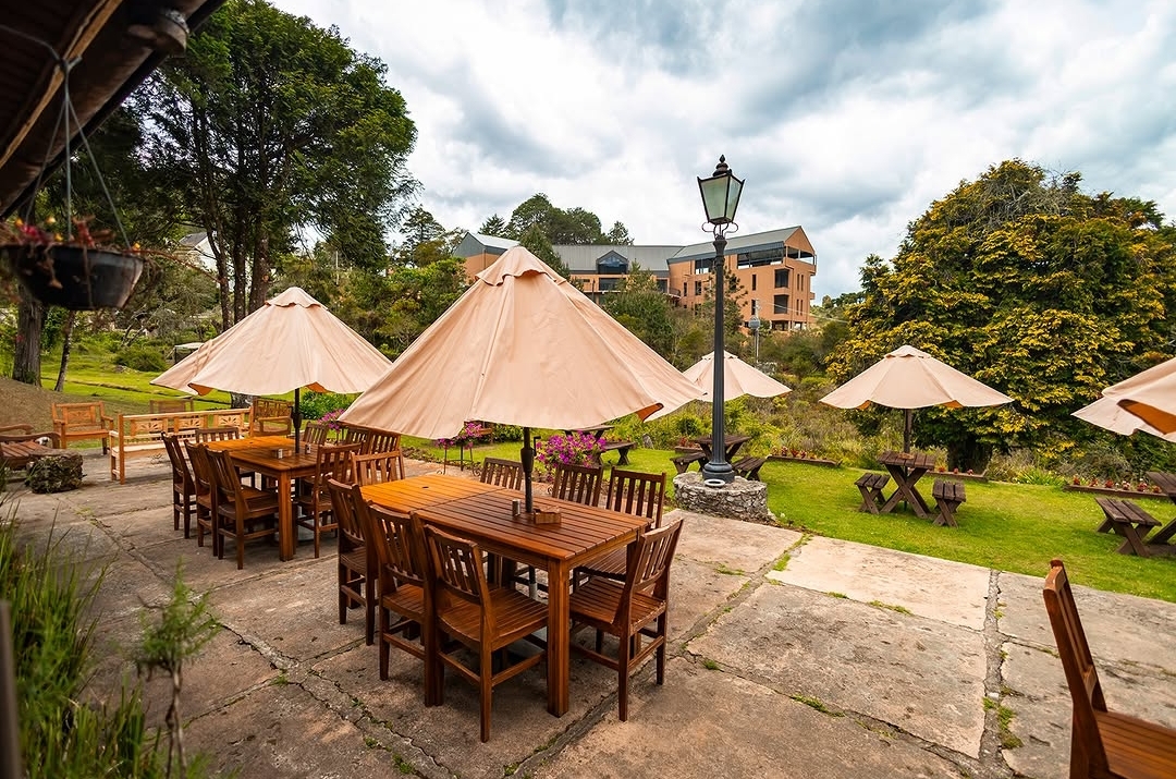 Café Terraço Pizzaria Artesanal e Bistrô