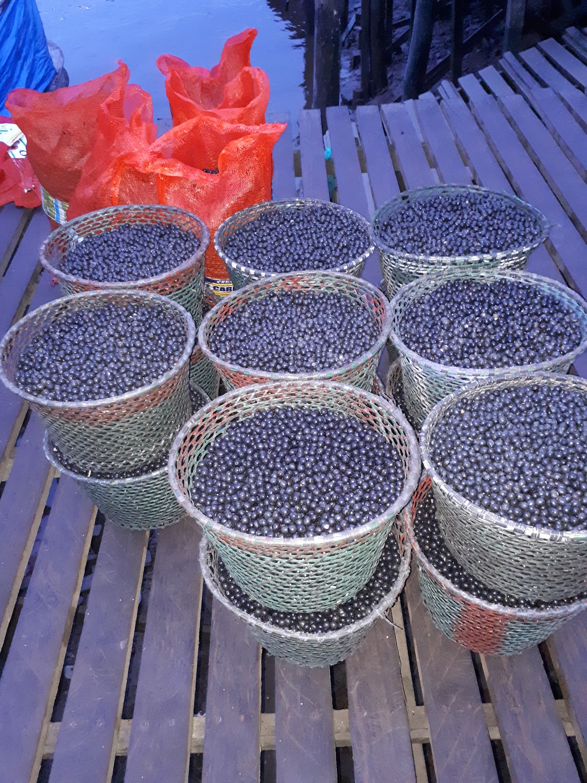 Açaí do Paulinho
