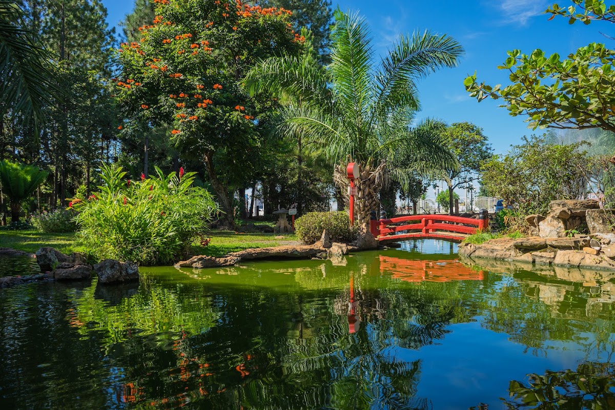 Jardim Japonês