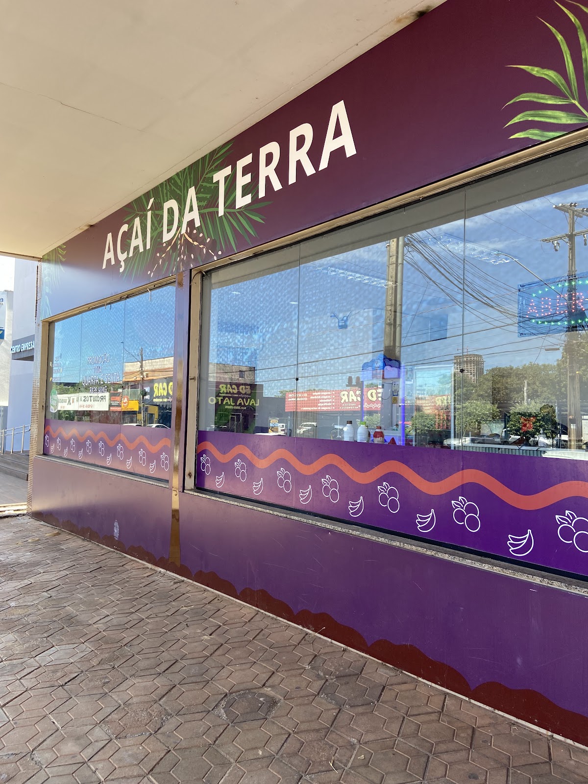 Açaí da Terra