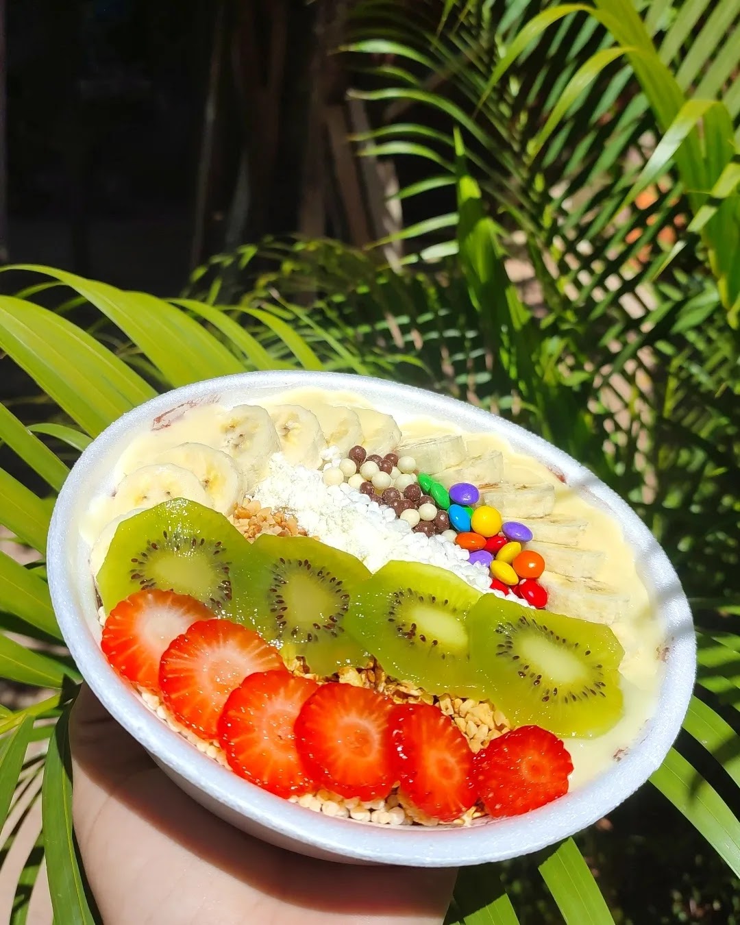 Casa do açaí