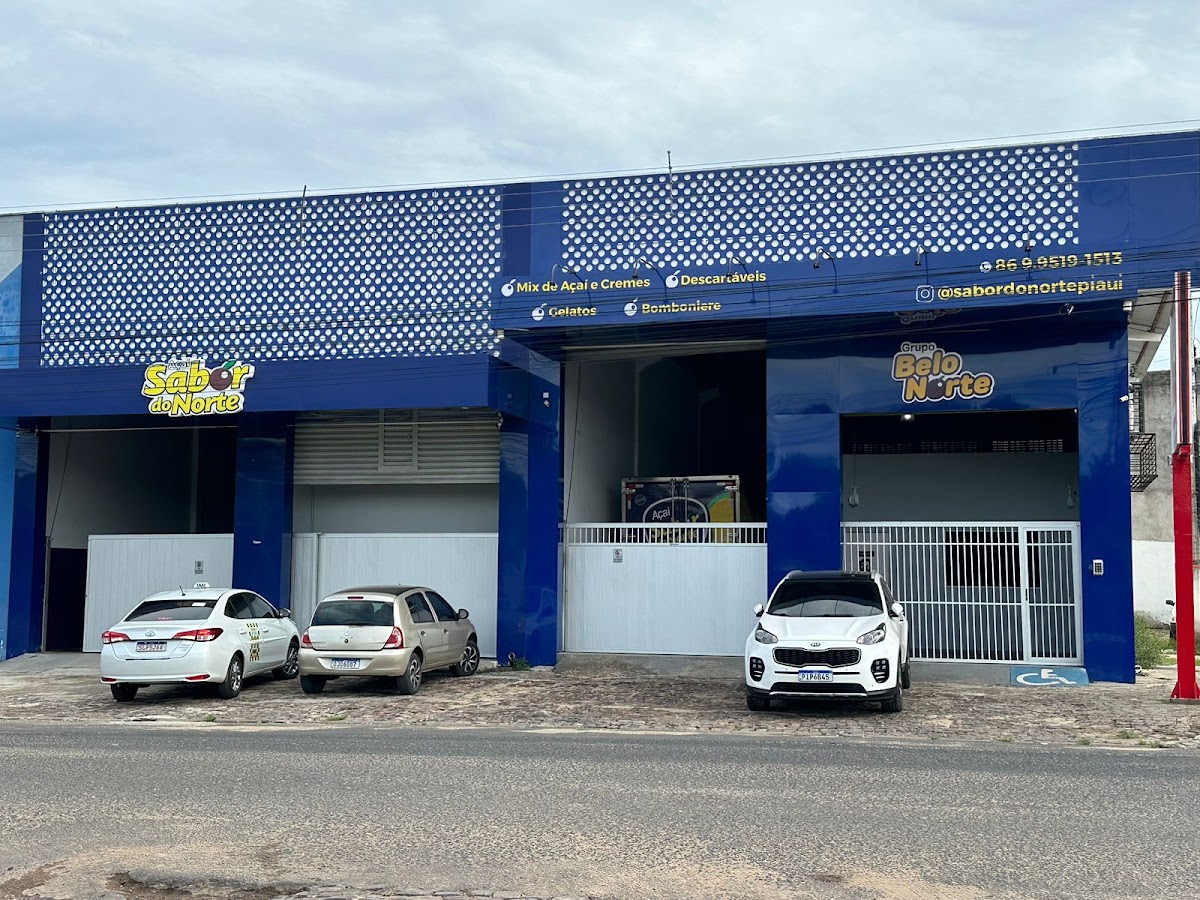 Distribuidora de Açaí Belo Norte - Teresina