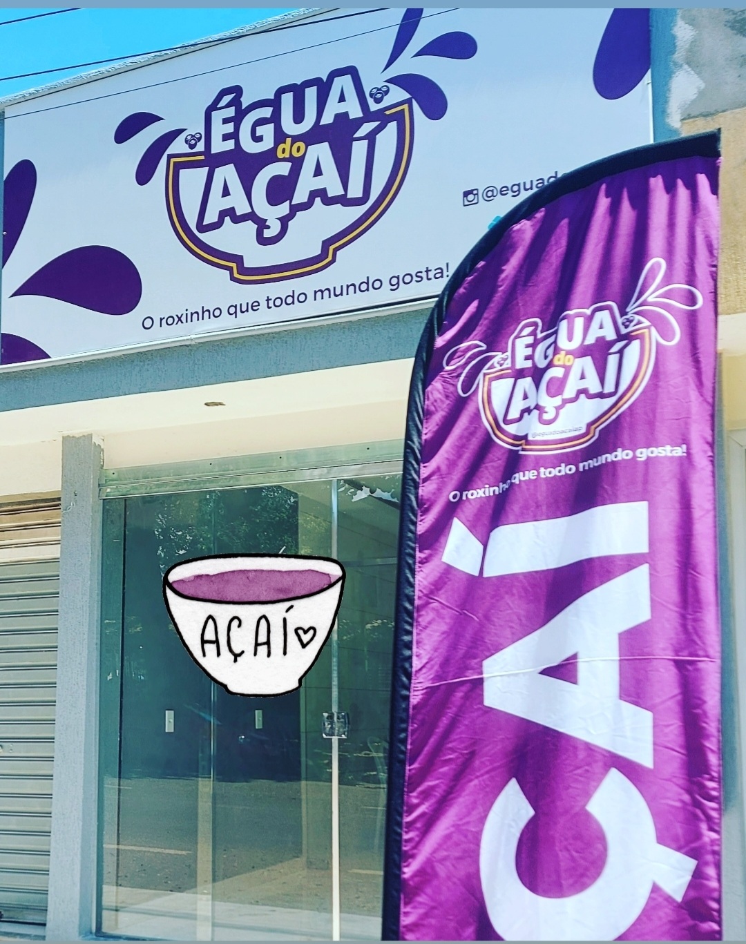 Égua do Açaí top