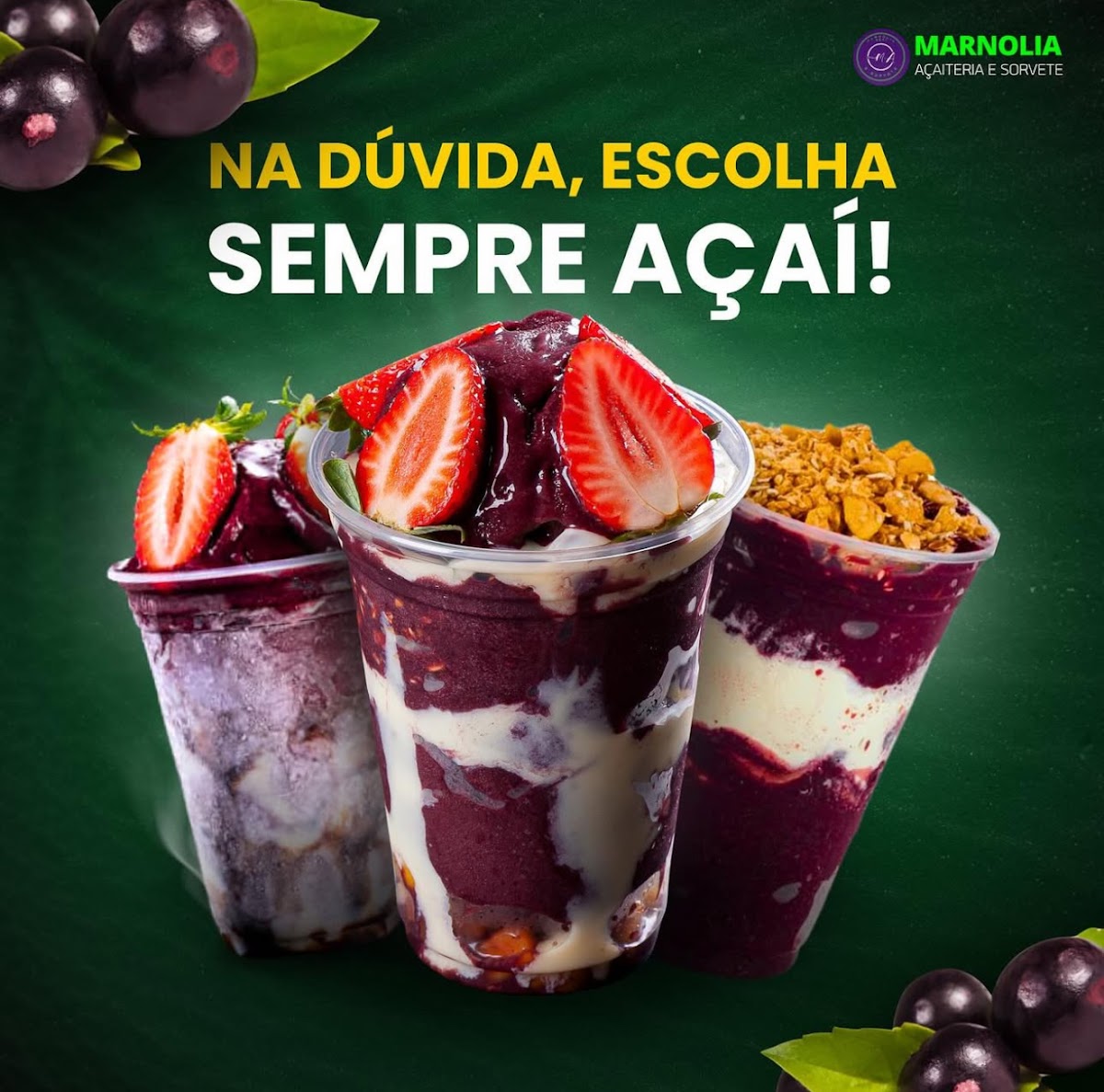 Marnolia Açaí & Sorvete