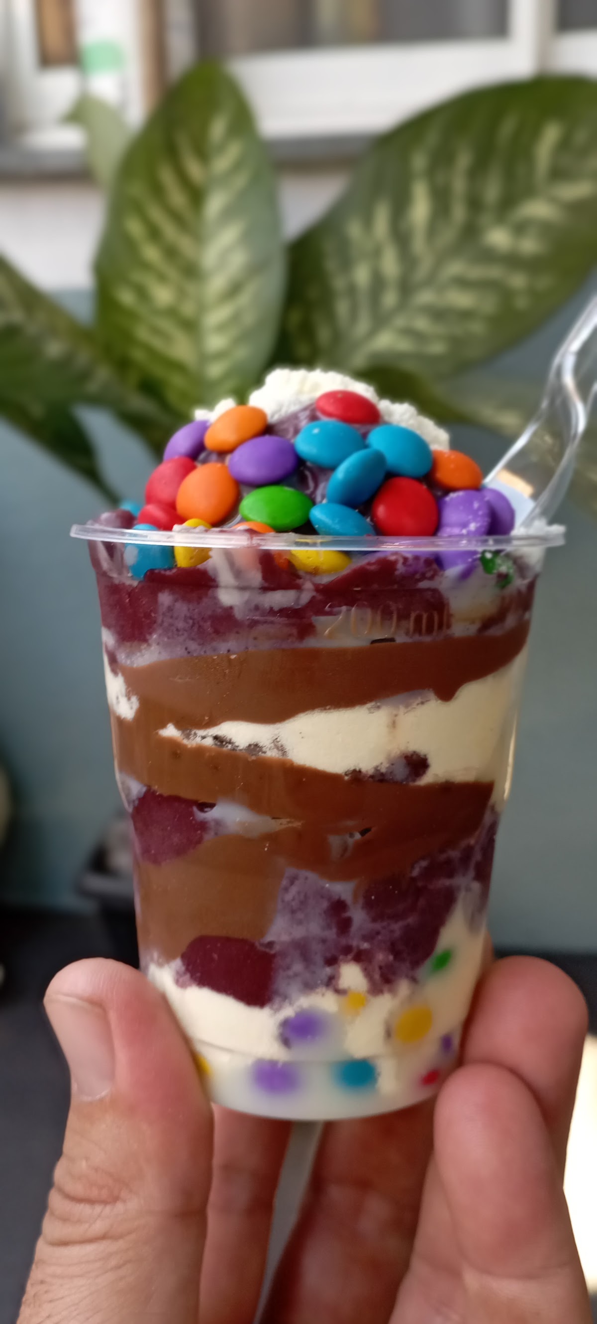 AÇAÍ HOUSE 310 ASSIS SP
