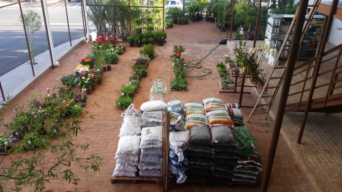 Safari Garden Plantas Exóticas