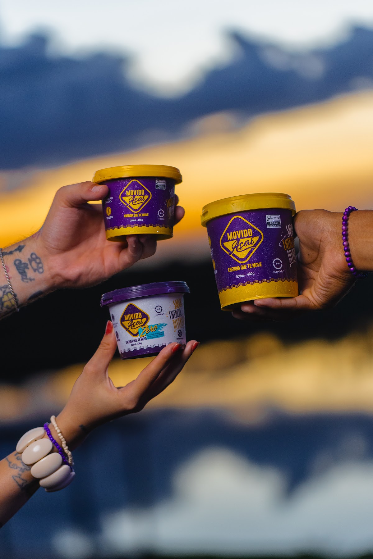 Indústria Movido Açaí