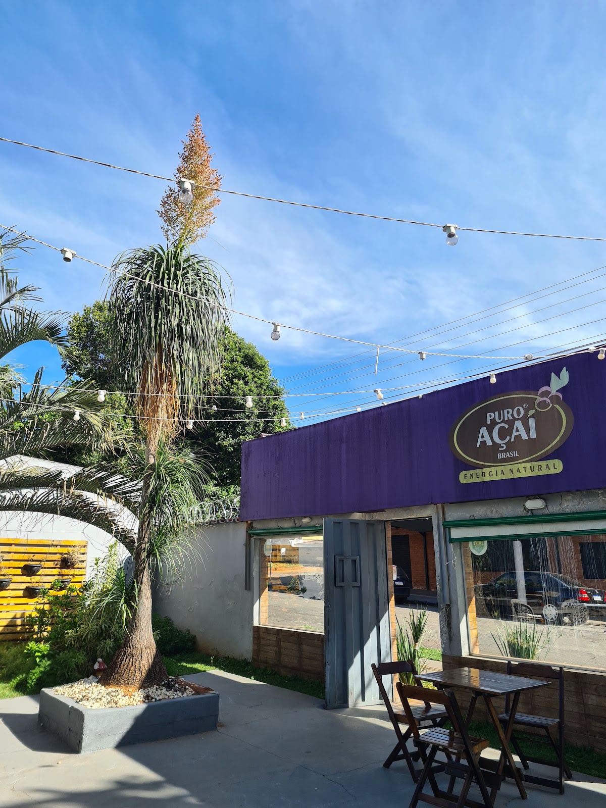 Puro Açaí Brasil - Universitário