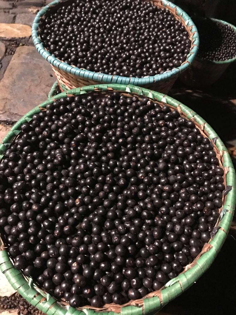 Ponto do Açaí