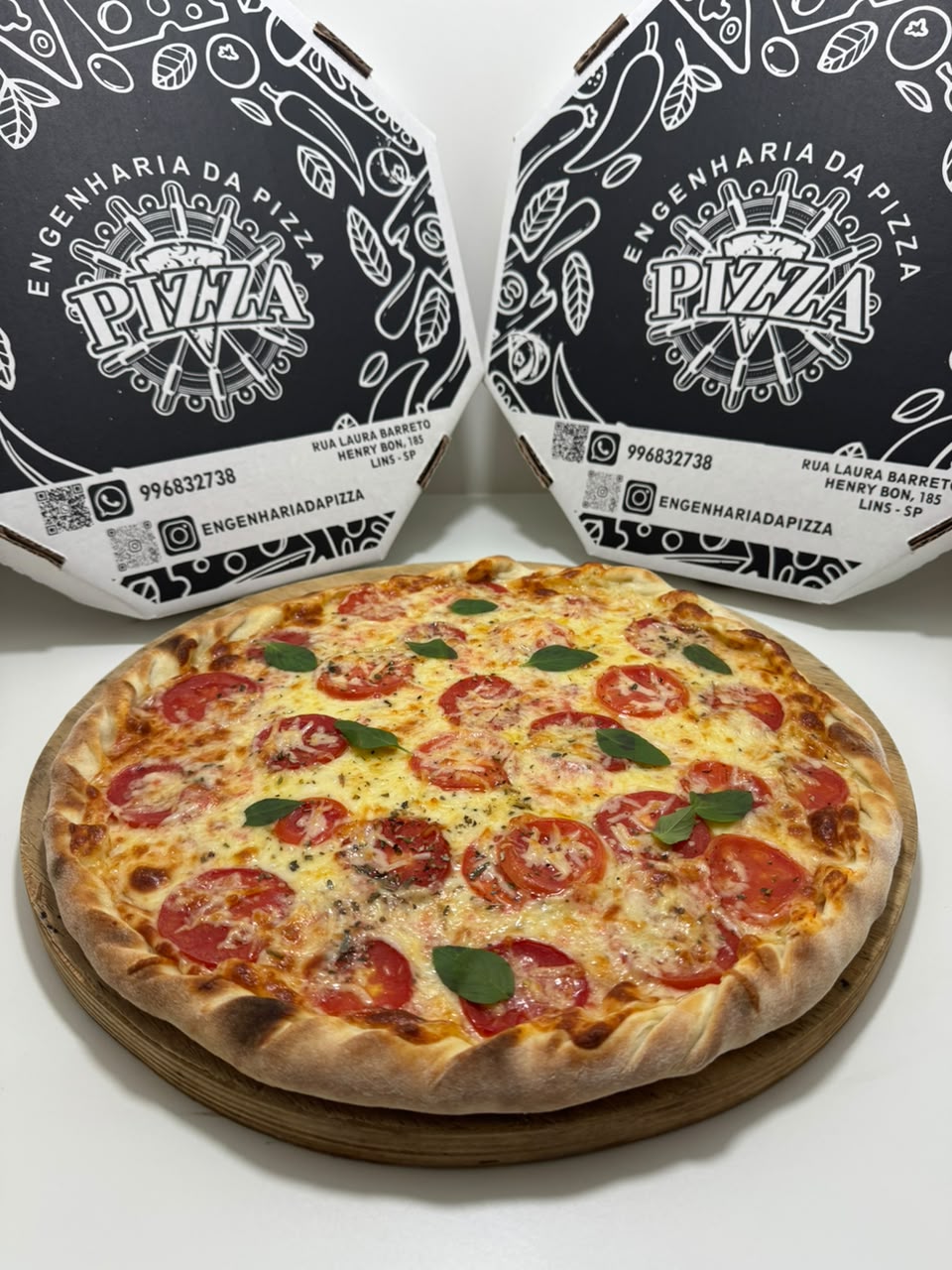 ENGENHARIA DA PIZZA - LINS
