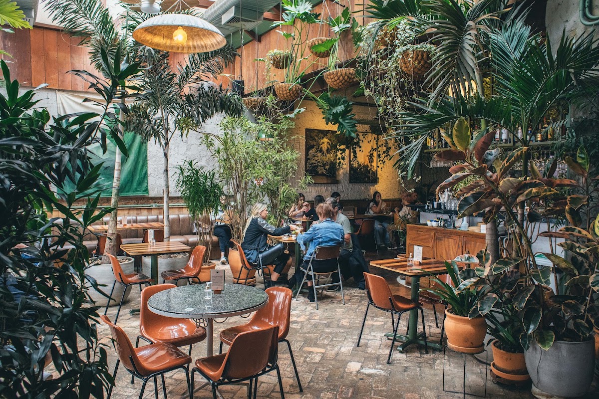Botanikafé Jardins