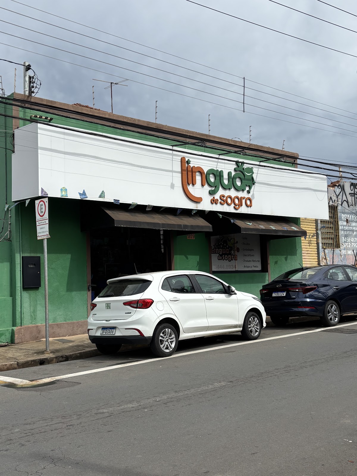 Língua de Sogra - Loja 1