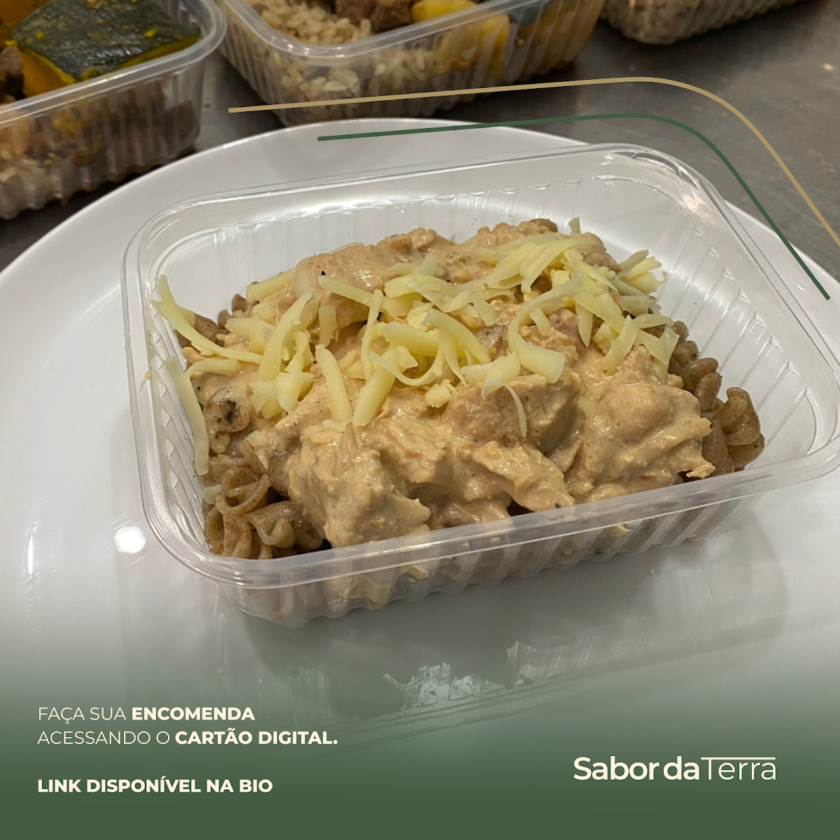 Sabor da Terra Marmita Fit