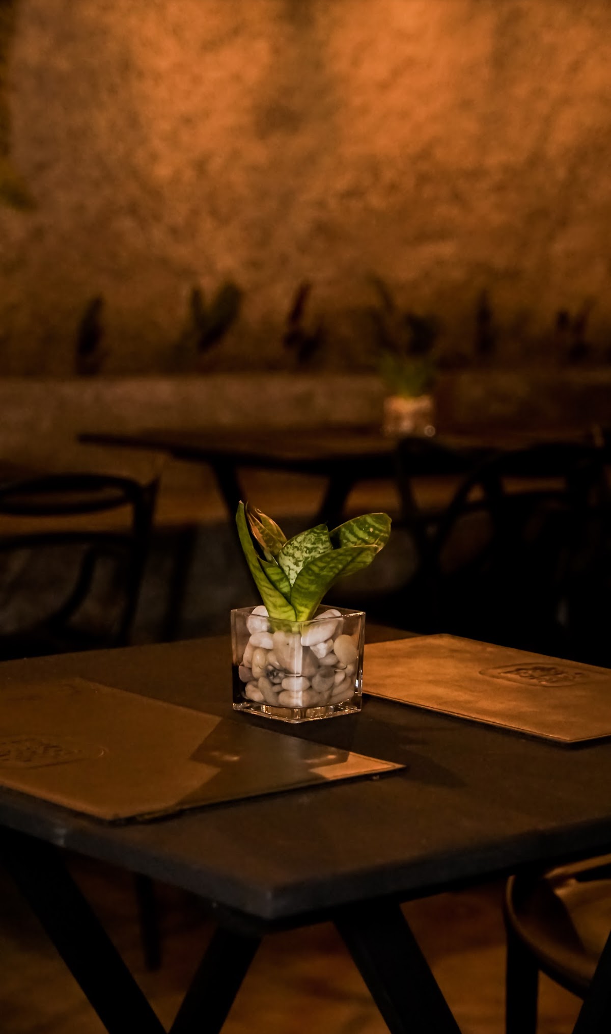 Kitsune | Cozinha Oriental
