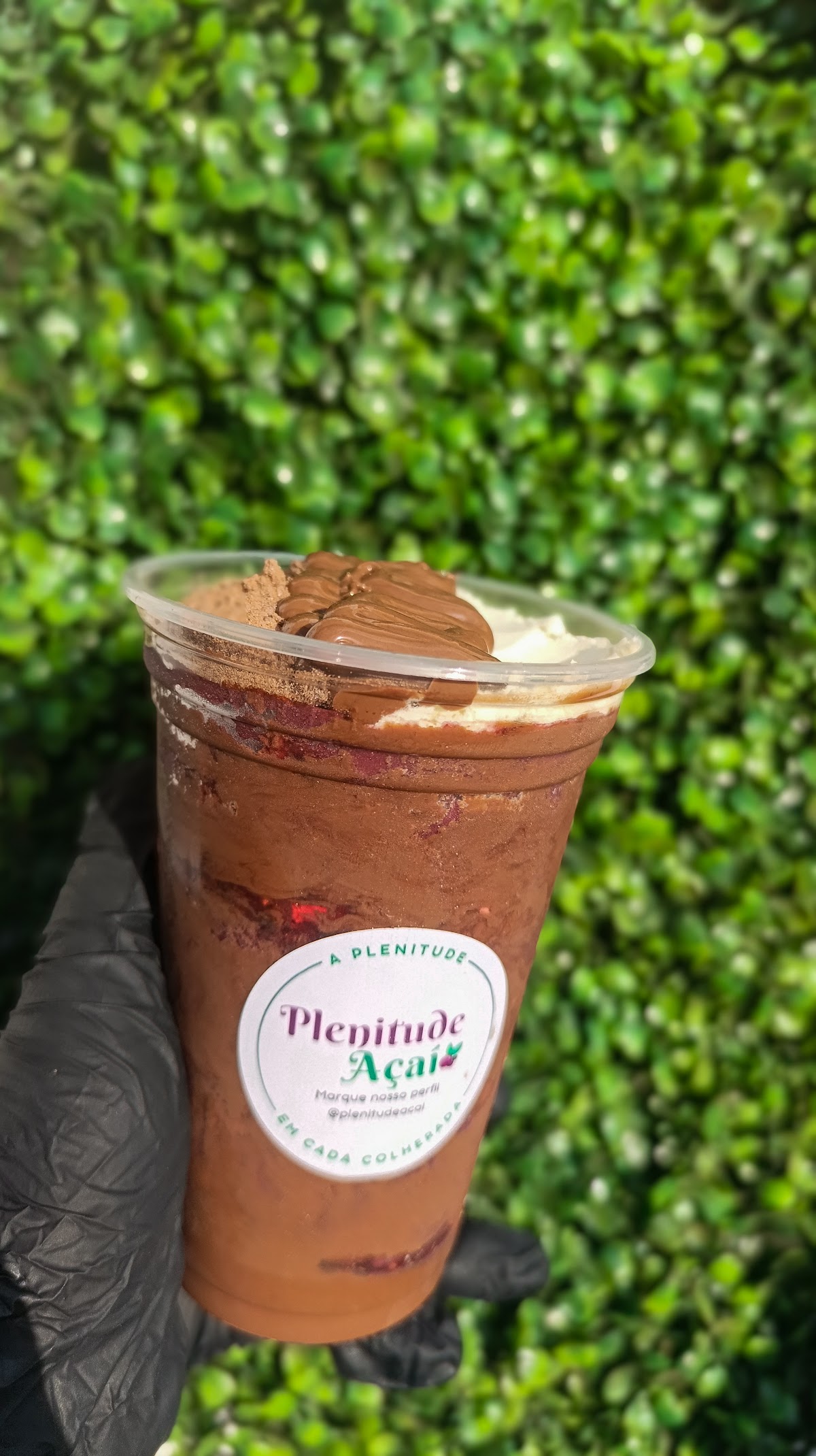 Plenitude Açaí Delivery